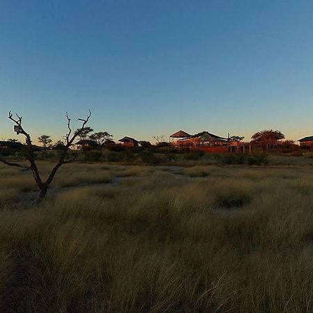 Suricate Tented Lodge Mariental Kültér fotó