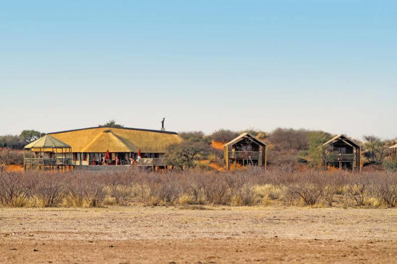 Suricate Tented Lodge Mariental Kültér fotó