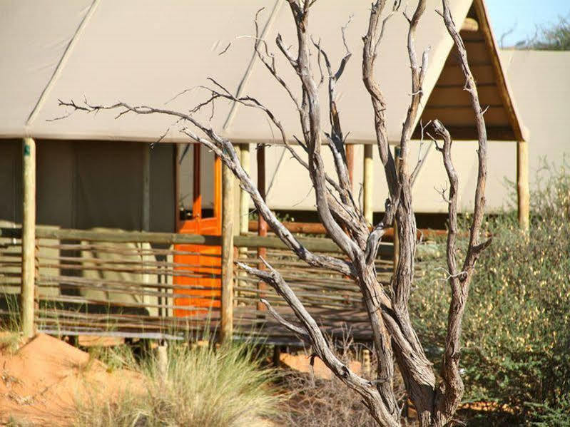 Suricate Tented Lodge Mariental Kültér fotó