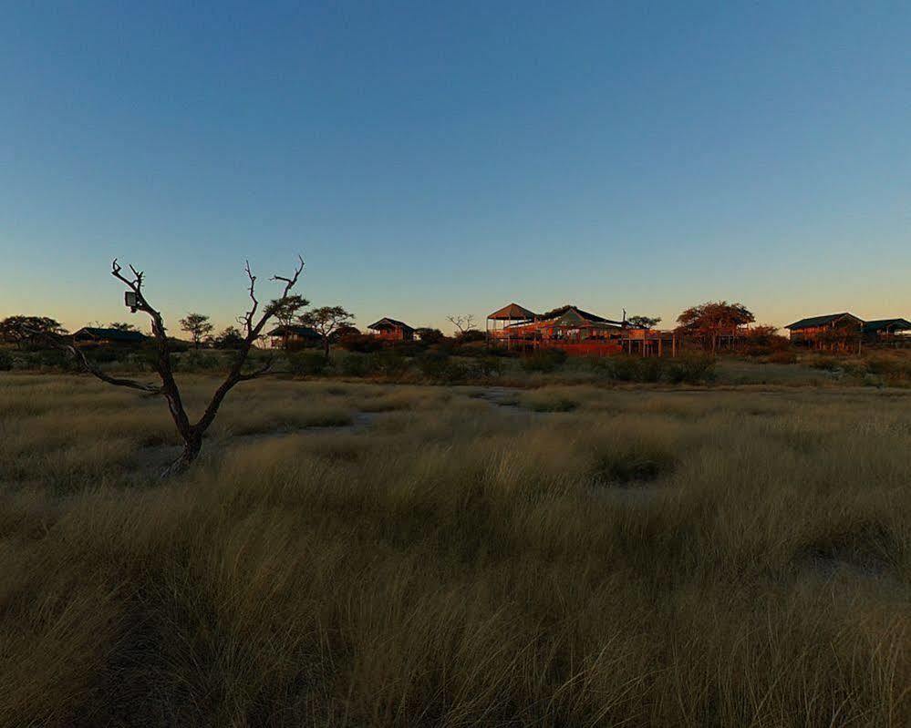 Suricate Tented Lodge Mariental Kültér fotó