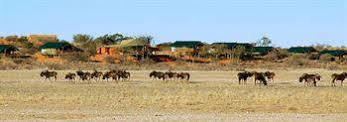 Suricate Tented Lodge Mariental Kültér fotó